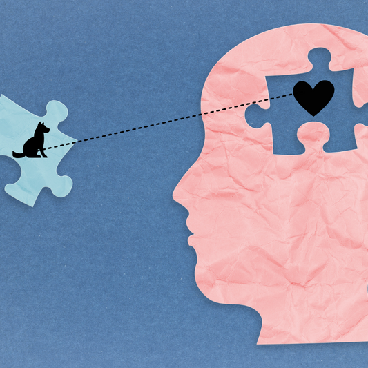 Les bienfaits psychologiques d'avoir un chien dans notre vie