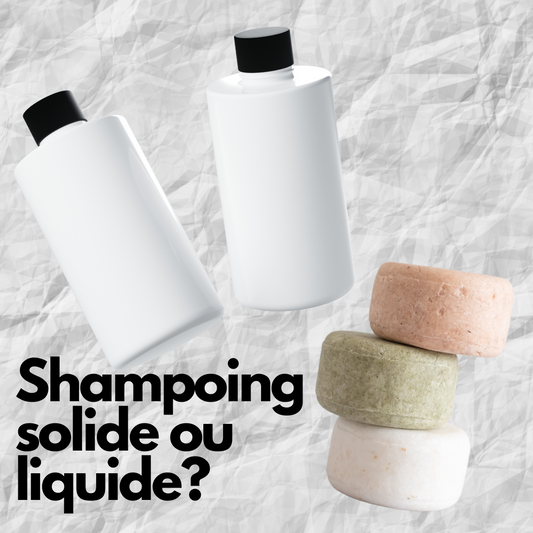 Shampoing solide ou liquide pour votre chien?