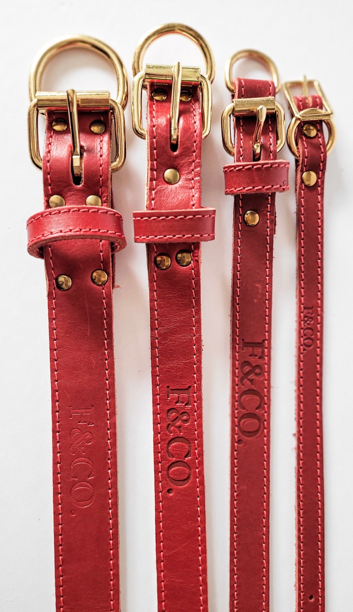 Plusieurs grandeurs t largeurs de colliers en cuir rouge pour chien. Attaches et boucles en laiton. Collier détaché et en longueur.