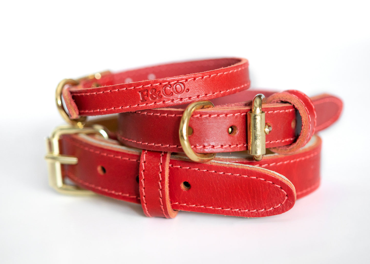 Différentes couleurs de colliers pour chien en cuir rouge. Attaches et boucles en laiton. Coutures rouges.