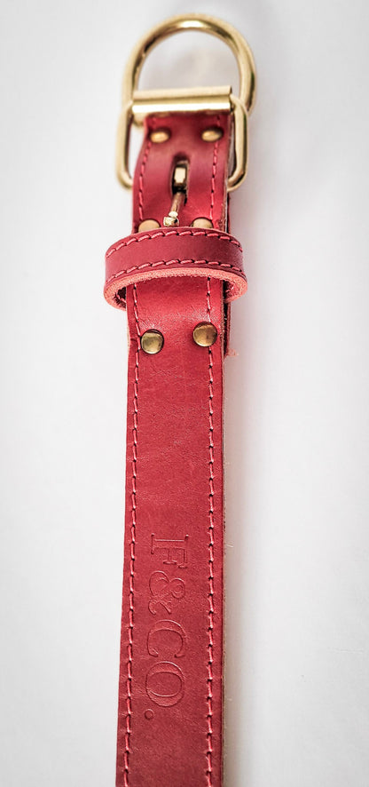 Collier détaché en cuir rouge pour chien. Attache et boucles en laiton. Coutures rouges.