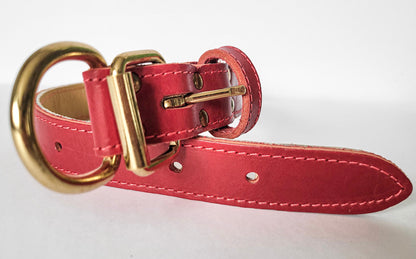 Gros plan sur collier rouge en cuir, pour chien. Attache et boucle en laiton. Coutures rouges.