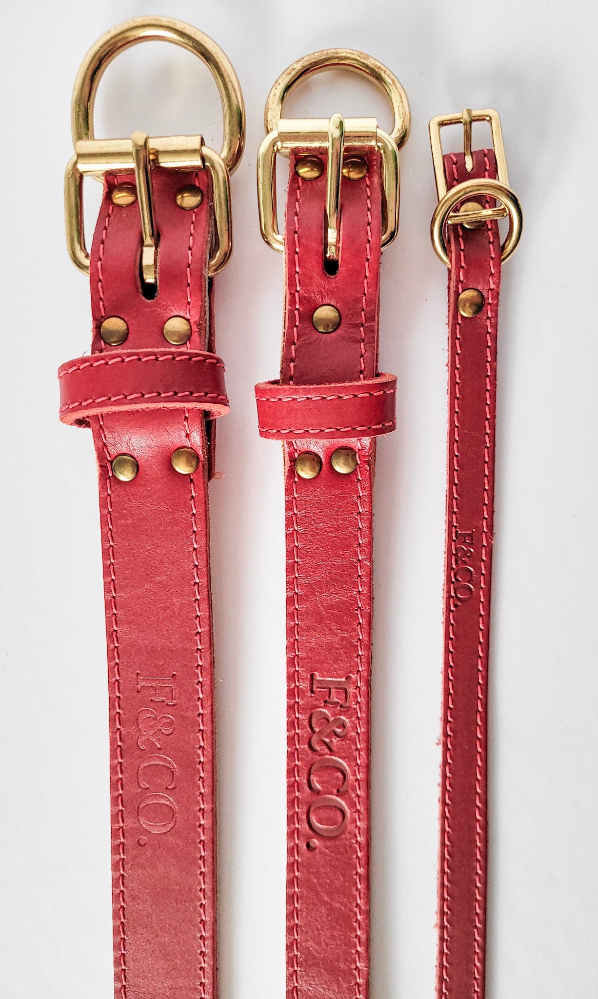 Différentes grandeur et largeur de colliers pour chien en cuir rouge. Attaches et boucles en laiton. Coutures rouges.
