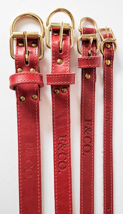 Plusieurs grandeurs t largeurs de colliers en cuir rouge pour chien. Attaches et boucles en laiton. Collier détaché et en longueur.